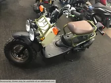 2024 Honda Ruckus