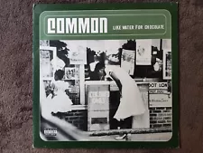 FLASH SALE Common – Like Water For Chocolate 2xLP 2000 ORIGINAL J DILLA D'Angelo