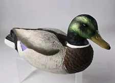 Full Limit Gear Duck Decoy Plastic Hollow Body Coin Bank, Rustic Decor 14” Long