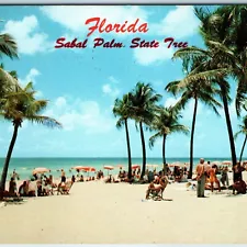 c1960s FL Fla Florida Greeting Sabal Palm State Tree Crowd Beach Tanning PC A240