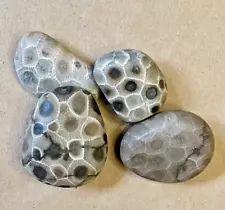 LOT of 4 Petoskey Stones Fossil Lake Michigan 3.88 Ounces!