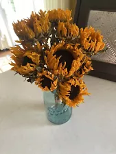 SUNFLOWERS * DRIED FLOWER Bunch BOUQUET Bundle USA Grown ORANGE Flowers Auc#11