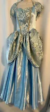 Cinderella Princess Theatre Royal Dress Gown Costume Disney In Character