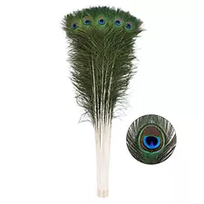 peacock feathers for sale in bulk