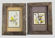 Birds Watercolor paintings Set of 2 small Wood Framed Pictures Wild Life Nature