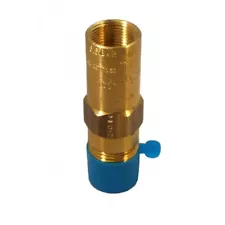 Rego Relief Valve 1/2" for Gas Cryogenic Systems in Vapor Line Safety 235 PSI