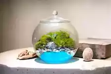 Terrarium with Resin River