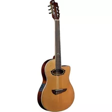 Eko MIA N400CE Electro Acoustic Thin Body Classical Guitar Fishman Blend New