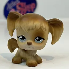 COCKER SPANIEL DOG #200 - Authentic Littlest Pet Shop - Hasbro LPS