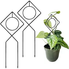 Metal Plant Support Stake for Indoor Climbing Plants Size 17 X 7