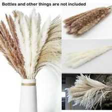 60PCS Pampas Grass Natural Dried Reed Flower Bunch Bouquets Home Wedding Decor