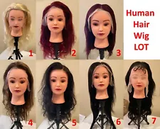 Human Hair Wigs - Lot Sale - Various Lengths - Slightly Used