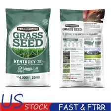 31 Tall Fescue Grass Seed for Sun to Partial Shade 20 lb Covers 4,000 sq. ft.