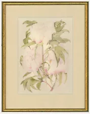 Ann Sedgwick - Framed 20th Century Watercolour, Pink Peony