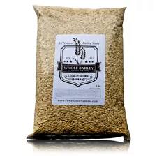 Barley Seeds ð¥ Bulk 5-10 # Sprouting-Juicing-Malt-Brewing-Beer Making NONGMO