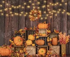 Kate Pumpkin Backdrop Fall Lights Photography 7x5 13