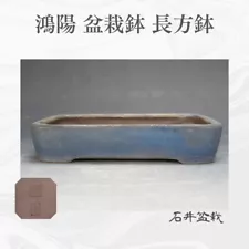 Uniform Glaze Rectangular Bonsai Pot Tool Aiba Koyo W22.5 L16 H4.5