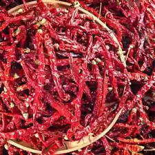 Extra Hot Fresh Red Chili Peppers - Best Price, Premium Quality