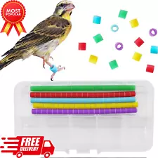 100 pcs Numbered Bird Ring Leg Bands for Gouldian Zebra Finch Canary Society