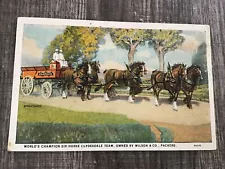 World’s Champion Six Horse Clydesdale Team Vintage Post Card