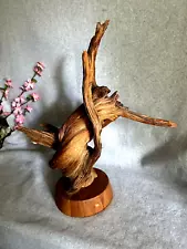 Driftwood Natural Wood Art Sculpture ~20"Tall and ~18"Wide