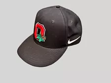 Ohio State Buckeyes Nike Snap Back Hat Black