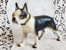 Vintage Boston Bulldog Figurine Ceramic Black & White w/ Tagged Brass Collar