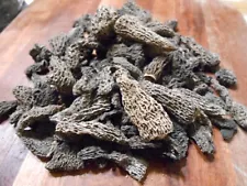 AUCTION! :D 2oz A Grade Dried Morel Mushrooms