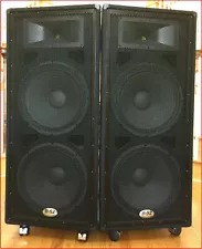 B-52 USA Pro MX-1515 pair of PA speakers 2x600Wrms, Pro Cables, Diaphragms