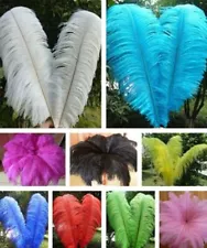 used ostrich feathers for sale