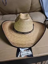 Resistol Official Jason Aldean "Amarillo Sky" Cowboy Hat