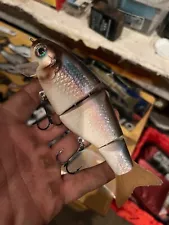 chocked wake bait, baitfish color