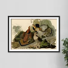 John James Audubon - Ruffled Grouse (1826) Birds of America Poster Painting Art