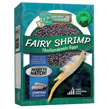 Fairy Shrimp Thailandensis Eggs Live Fish Food for Hatching and Feed Betta Fish