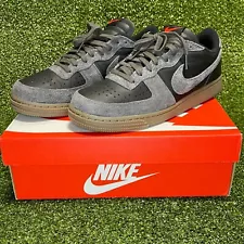 Nike Terminator Low Medium Ash Gum Size 10.5 Men's FV0396-001 Worn