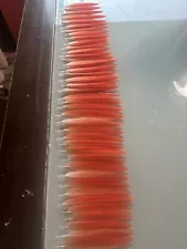 Macaw Feathers ( Flamingo Feathers )