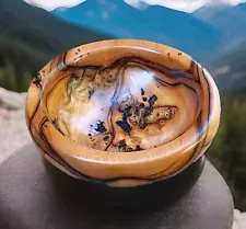 Pacific Yew Bowl! **UNIQUE** Nice Burls And Swirls!! ð¥ ~Dovecote~ (751)