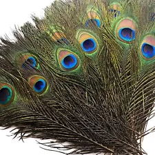 30 Pcs Peacock Feathers In Bulk 16-18Inch(40-45 Cm) Bulk For Diy Craft, Weddin