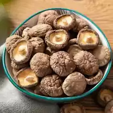 shiitake mushrooms for sale