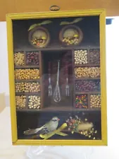 Vintage Wood Shadow Box Hanging Curio Display Case with Seeds Pasta Bird