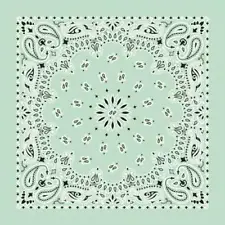 Hav-A-Hank USA Made 100% Cotton Paisley Bandannas Bandanas 22"X22"