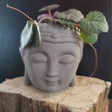 Buddha planter, zen meditation cement head planter for cacti, succulents