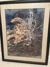 BEV DOOLITTLE PRAYER FOR THE WILD THINGS Limited Edition Signed MATTED & FRAMED