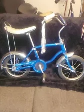 vintage schwinn lil tiger Sky Blue