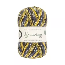 West Yorkshire Spinners Signature 4 Ply Yarn Wool 100g - Blue Tit (818)