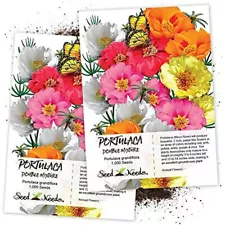 Seed Needs, Portulaca "Double Mix" (Moss Rose) Twin Pack Of 1, 000 Each Plants