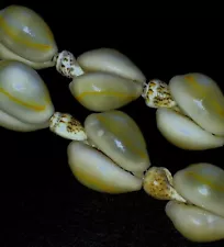 Vintage Hawaiian Shell Necklace, Cowrie & Lightning Cone Snail (135 shells)