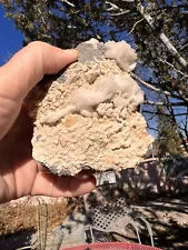 Zeolite INDIA