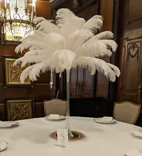 OSTRICH PLUMES FEATHERS, 500 total (150 20-22" + 350 14-16") Wedding Centerpiece