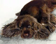 Sussex Spaniel Limited Edition Fine Art Giclee Print by Martha Van Loan